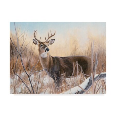 Trademark Fine Art Rusty Frentner 'Big Buck' Canvas Art, 18x24 ALI33131-C1824GG